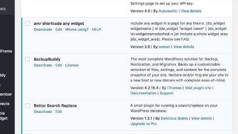 WordPress Plugin Conflict
