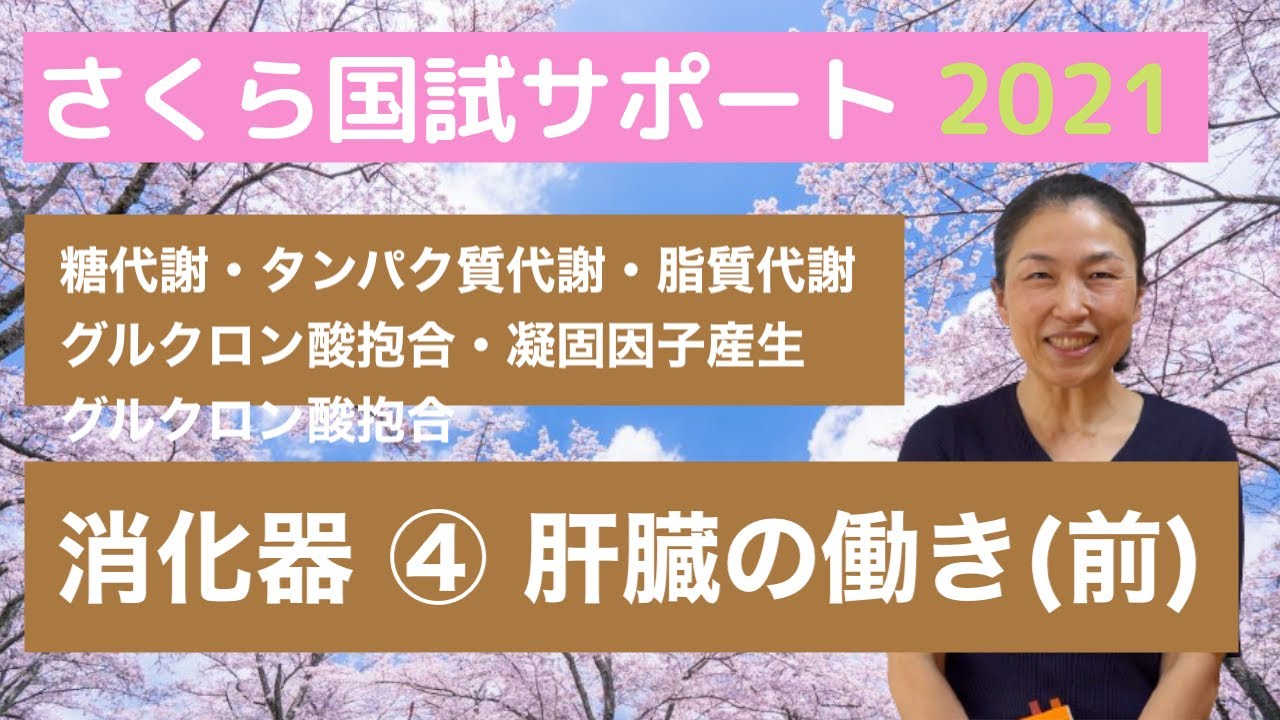 いろんな機能がありすぎる臓器 消化器 肝臓のはたらき 前半 さくら国試サポート Youtube