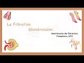 La filtration glomrulaire membrane de filtration pressions et dfgsystme urinaire