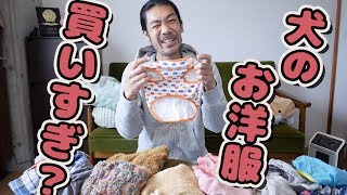 こうめさんのお洋服「全部で何着？」「どこで買った？」にお答えします