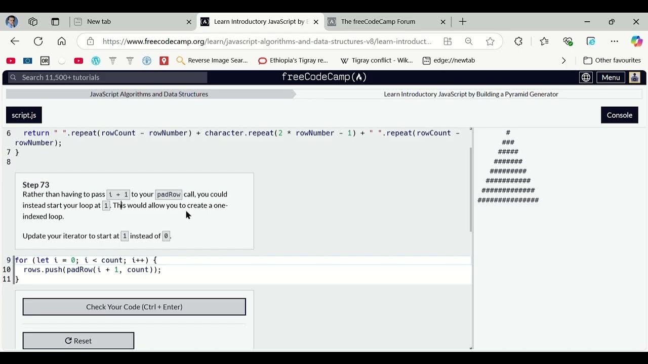 Learn Introductory JavaScript by Building a Pyramid Generator Step 73 ...