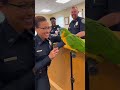 Cops Can’t Handle This Sassy Parrot 😂🦜