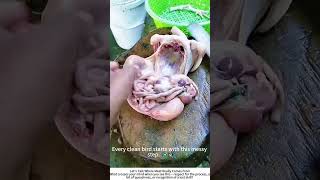 Cleaning a Freshly Butchered Bird – Inside a Poultry Prep Session 🐔🔪