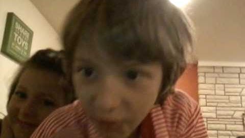 Top 10  most  annoying  insects