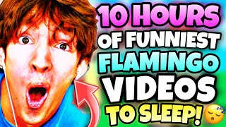 10 Hours Of Funniest Flamingo Videos Robloxmarathon