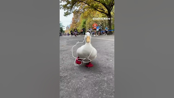 Running Duck (outline trend tiktok)