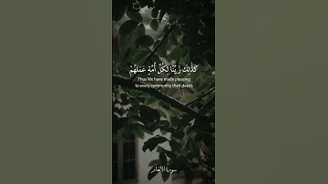 ولا تسبوا الذين يدعون من دون الله فيسبوا الله عدوا بغير علم [ سورة الأنعام : 108] القارئ سعد الغامدي