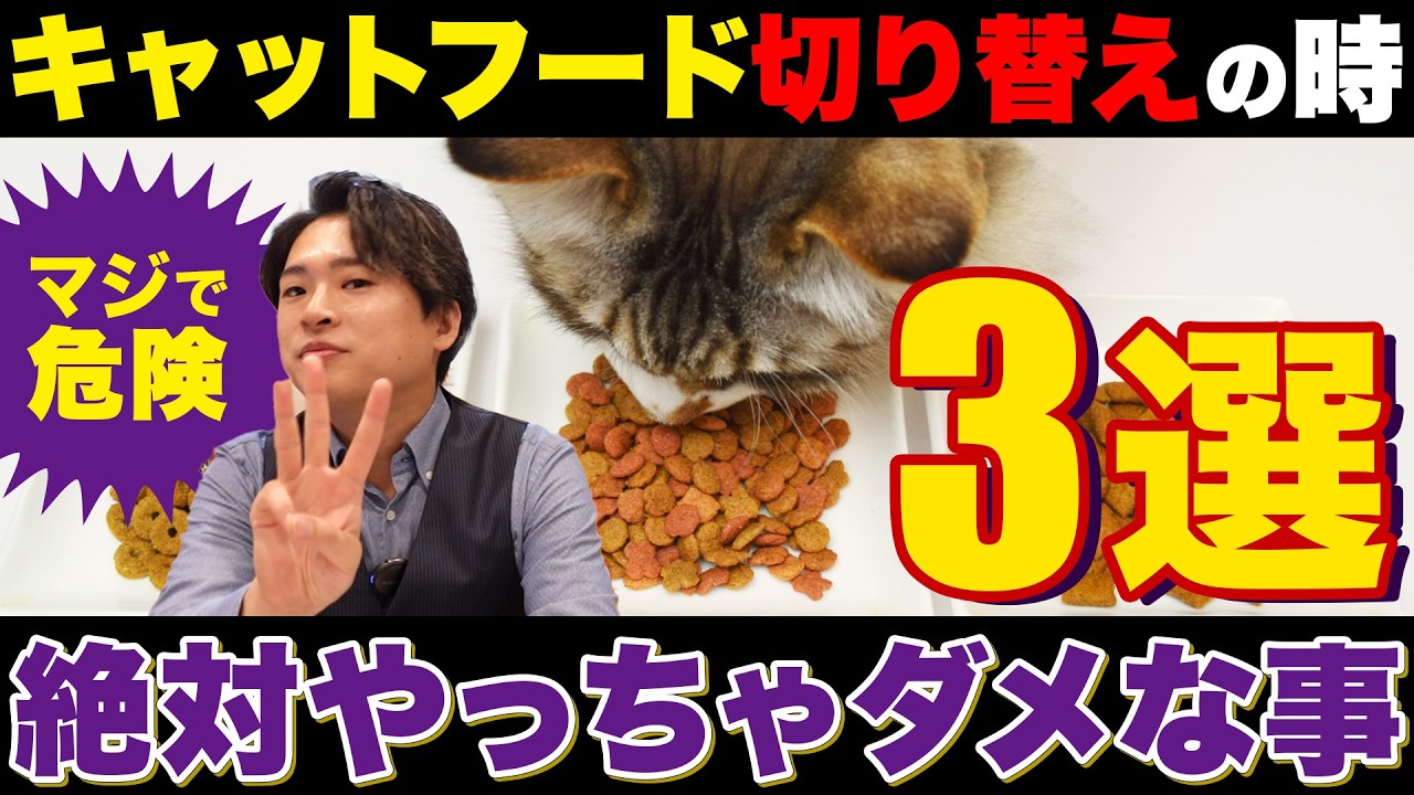 【フード切り替え前に見て！】コレ知らないでキャットフードを切り替えると危険です…！