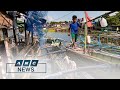 Philippines braces for Typhoon Rolly’s impact | ANC