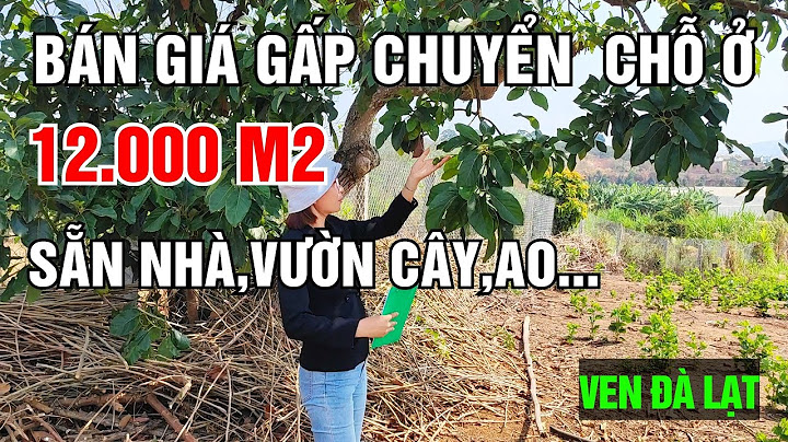 Nha trang đà lạt bao nhiêu cây số năm 2024