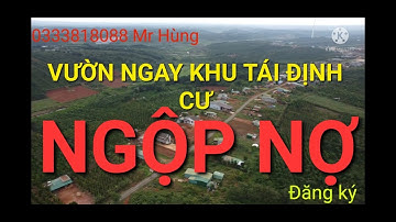 Bán Đất Đăk Nông 123| Vườn ngay khu đông dân cư,NGUỒN THU MẠNH,chủ nhà đang NGỘP NỢ