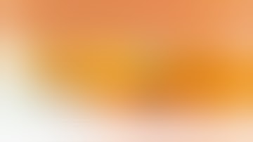 Curso generacion archivos Office (Word y Excel) desde Scriptcase :: 5101