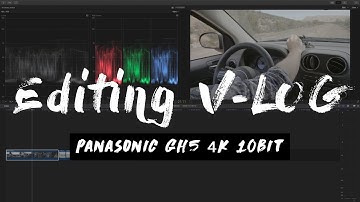 Color Correcting 10 bit GH5 V-Log