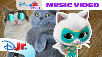 SuperKitties "Oopsie Kitty" with REAL Kitty Cat Fails Music Video! 😹🎵 | @disneyjr