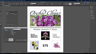 Lesson 5 05 InDesign 2025 Net Worth