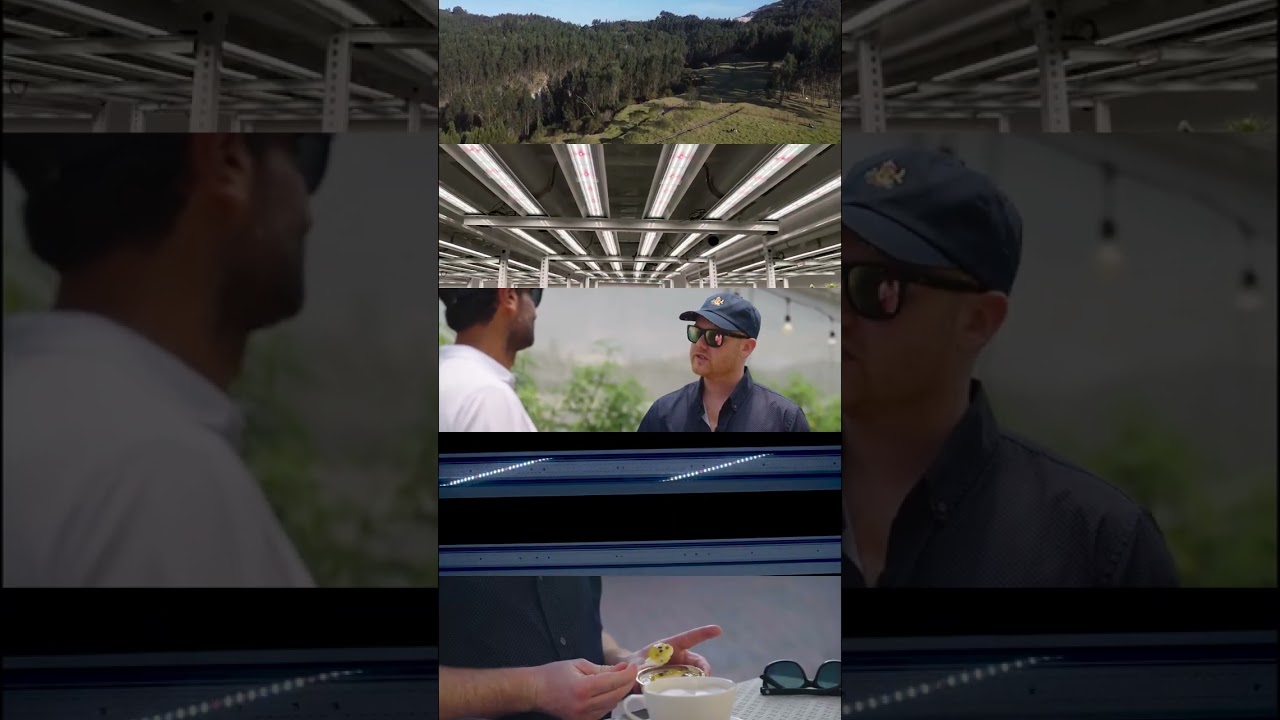 The OG of LED Horticulture Lighting - Valoya