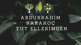 Tut Ellerimden | Abdurrahim Karakoç Resimi