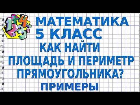 КАК НАЙТИ ПЛОЩАДЬ И ПЕРИМЕТР ПРЯМОУГОЛЬНИКА? Примеры | МАТЕМАТИКА 5 класс