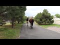 Middle of video