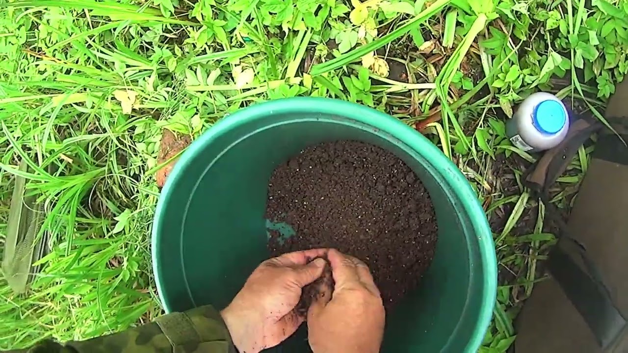 Feedri püük  väikejärvel , isiklik vana latika rekord on purustatud.