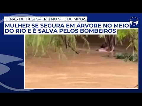 Desesperador: Mulher se segura em árvore no meio do rio e é salva pelos bombeiros no Sul de Minas