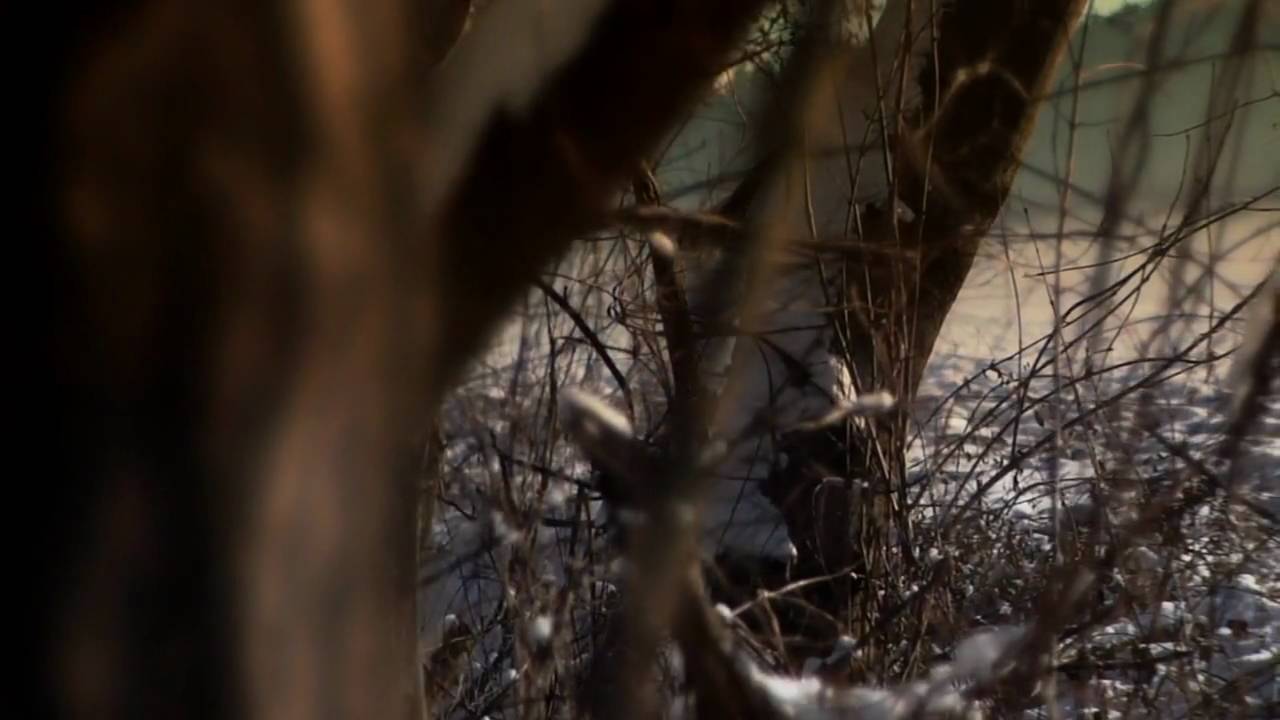 Winter Time First Snow