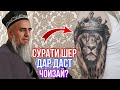 СУРАТИ ШЕР ДАР ДАСТУТ КАШИ ДРУСТАЙ ДОМУЛЛО АБДУРАХИМ 2021