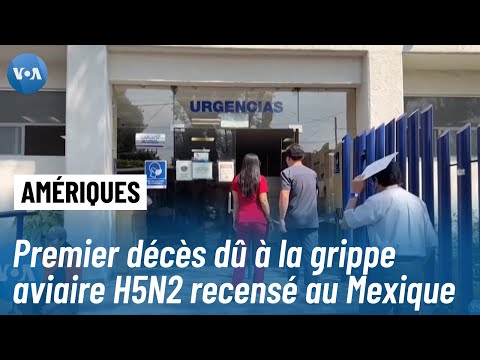 Grippe aviaire H5N2 : un premier décès humain confirmé, l&#039;OMS enquête