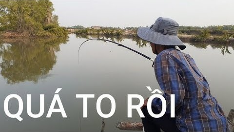 Câu cá Tráp, cá Hanh ở đầm huyền thoại lên toàn hàng khủng || Bream Fishing || Thiên Nhiên Muôn Loài
