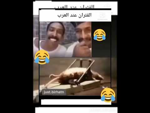 Shorts الفار عند الدول الجزء الأول ميمز