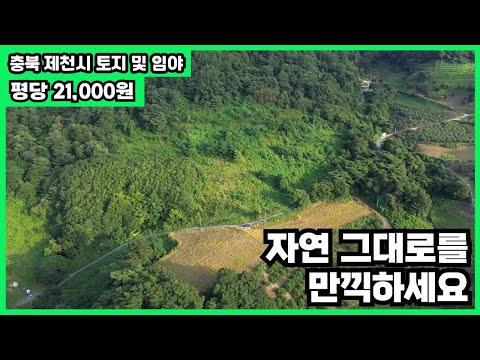[매물번호 52] 전체 매매 시 평당 21,000원! 부분 매매 시 평당 5만 원! 그냥 쌉니다. 토지 보고가세요~