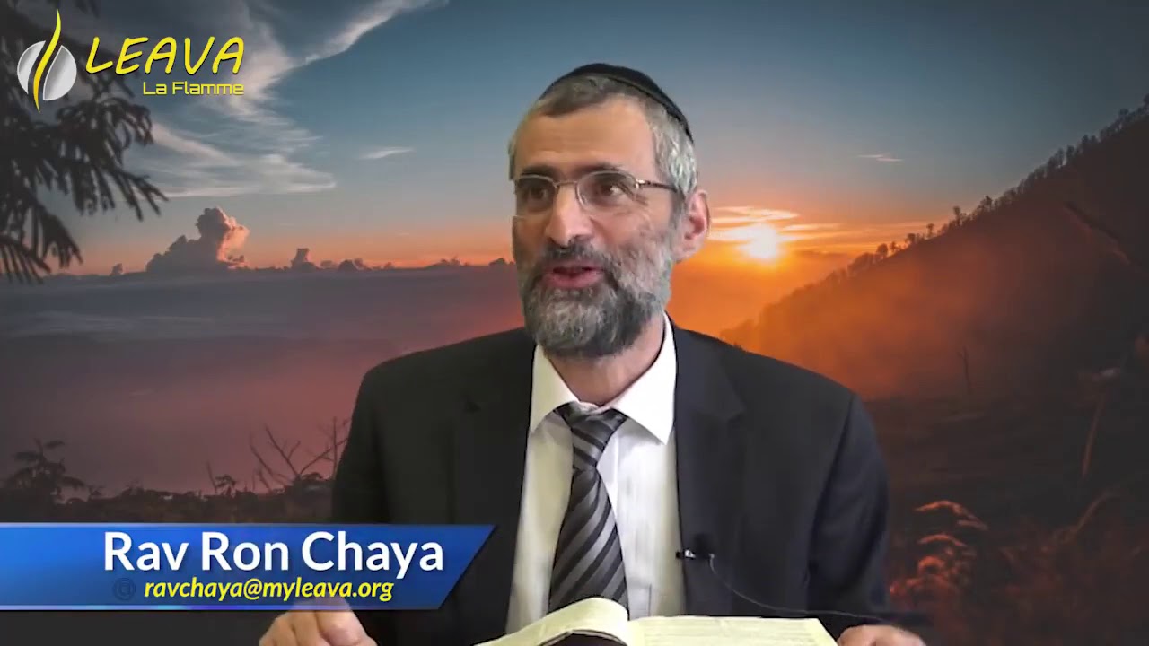 LE TESTAMENT DE MOISE OU LE SECRET DE LA REUSSITTE   Rav Ron Chaya