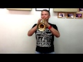 Обзор реверсивной, именной  трубы Shagerl James Morrisson JM1-L. Shagerl JM1-L trumpet review.