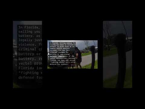 Florida woman DOES NOT like being called names after cheating on her boyfriend #police #couple #law