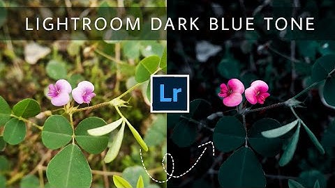 Lightroom Flower color grading | Lightroom Tutorial | lightroom Editing | Dark blue Tone | lr edit
