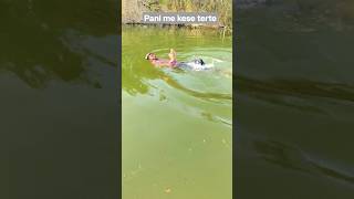 Pani Me Terna  short vlogingwithpravin trend