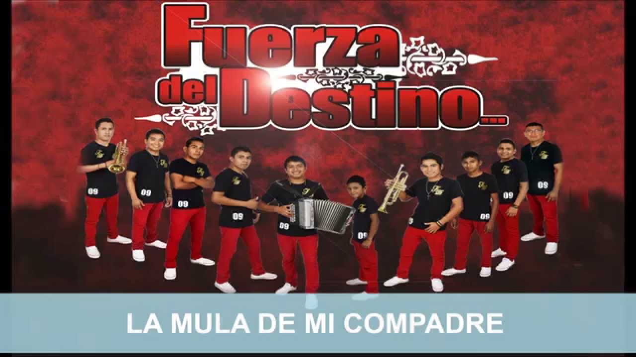Grupo la Fuerza del Destino - La mula de mi compadre fuerza electromotriz