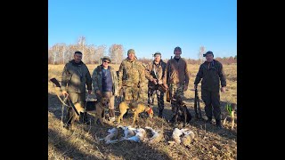 видео: Коллективная охота на зайца и лису с гончими сезон 2025-2026 №225 картинка: Коллективная охота на зайца и лису с гончими сезон 2025-2026 №225