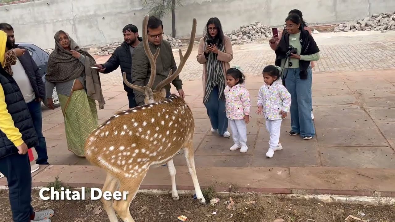 Wildlife in Bharatpur Bird Sanctuary | Canon EOS R50 RF-S55-210mm f/5-7.1 IS STM