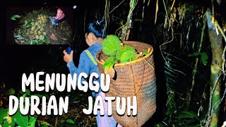 Download Lagu MUSIM DURIAN HUTAN | 🌙 1 Malam Ikut Warga Dayak ke Pedalaman.  MP3