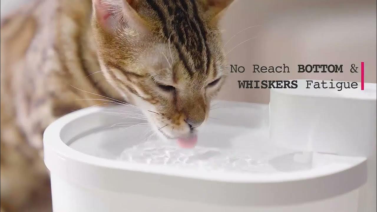 Uah Pet ZERO Wireless Automatic Pet Water Fountain YouTube