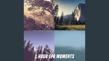 Outstanding Koto and Strings - Vibe for Body Cleansing