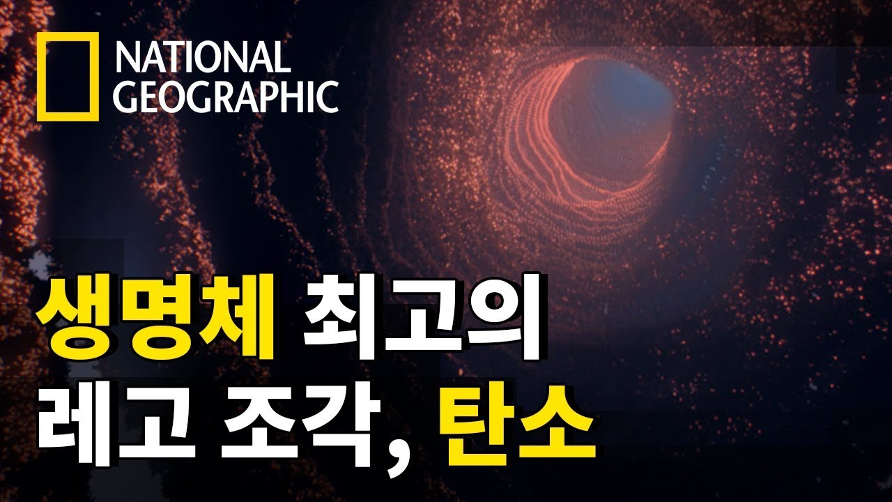 ⁣모든 생명체의 기본 요소 = 우주 먼지?