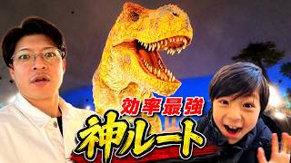 【福井子連れ旅行】東尋坊・恐竜博物館に一泊二日で全部いけちゃう効率最強の神ルート