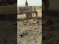 Mahendra 🤓575 Di trolli#Shorts #dj #song #shyam #Short #video #Shorts