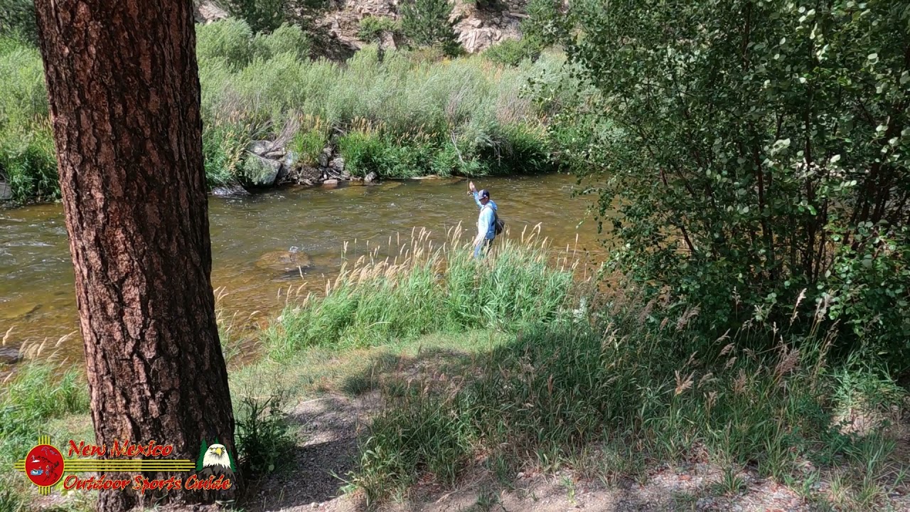 Big Thompson River Fly Fishing YouTube