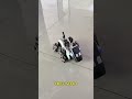 What kid wouldn’t like receiving such a robot dog? Not only can it perform stunts through remote