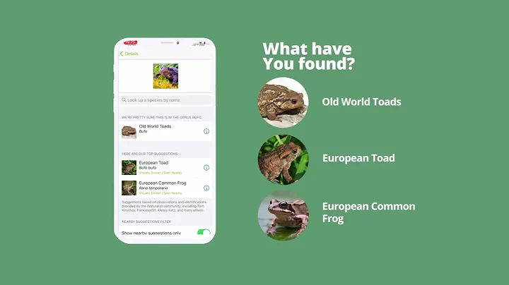 How to record wildlife using iNaturalist