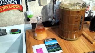 #7 FERMENTATION PROCESS
