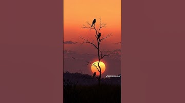 ✨لاتهرب استمع الى القران الكريم ✨